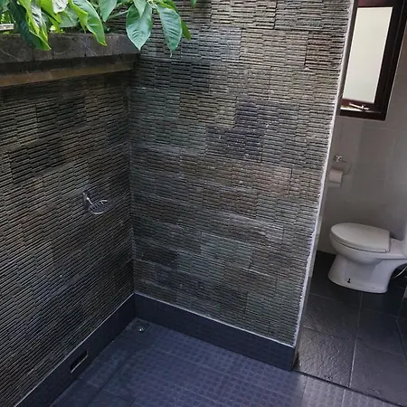 Villa Gede Private Guest House Selemadeg  Exterior photo