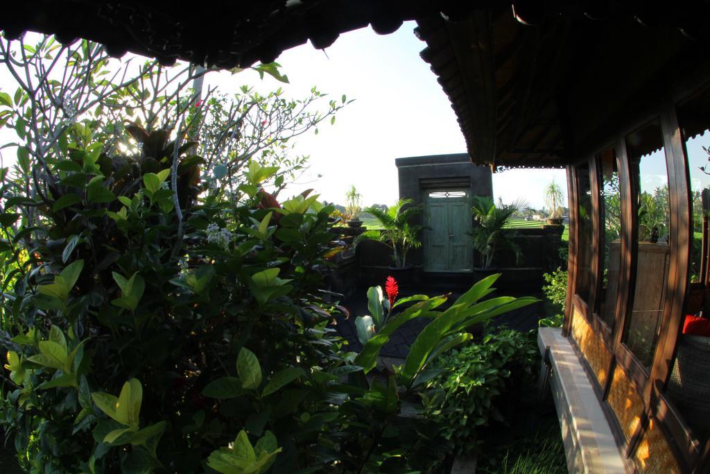 Gede Private * Selemadeg (Bali)