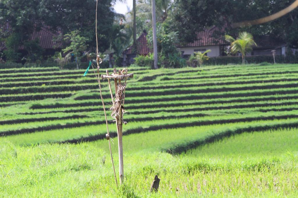 Gede Private Villa