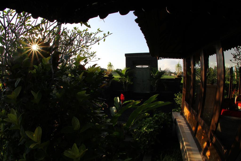 Gede Private Selemadeg (Bali)