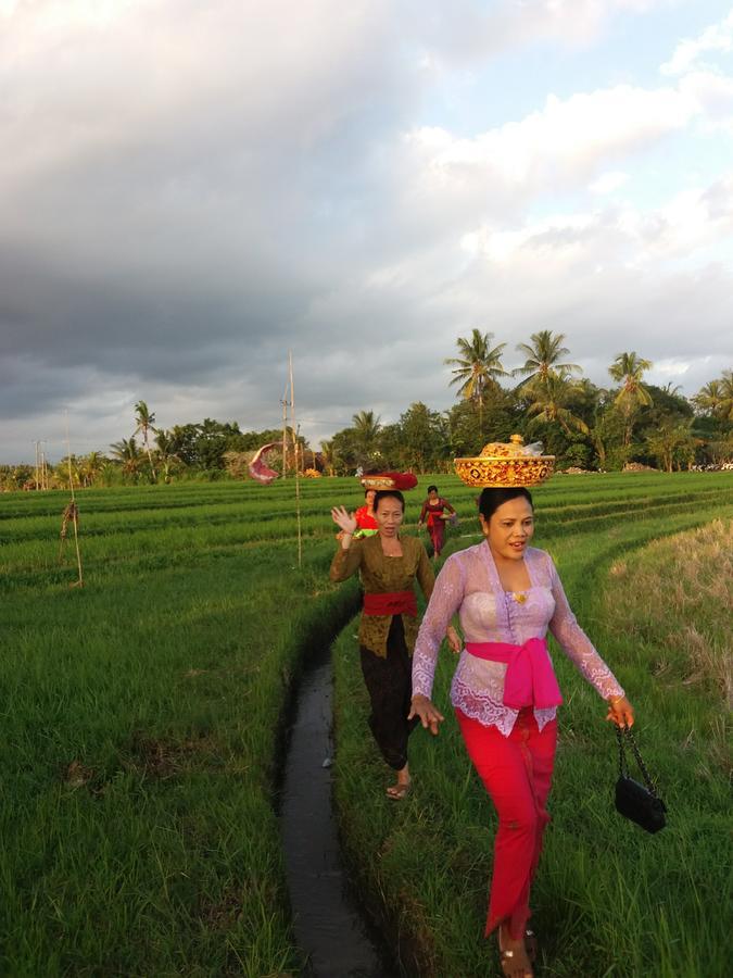 Gede Private Selemadeg (Bali)